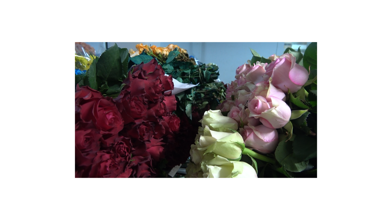 Yalova'daki Çiçek Mezatlarında Anneler Günü Hareketliliği - Sayfa 9