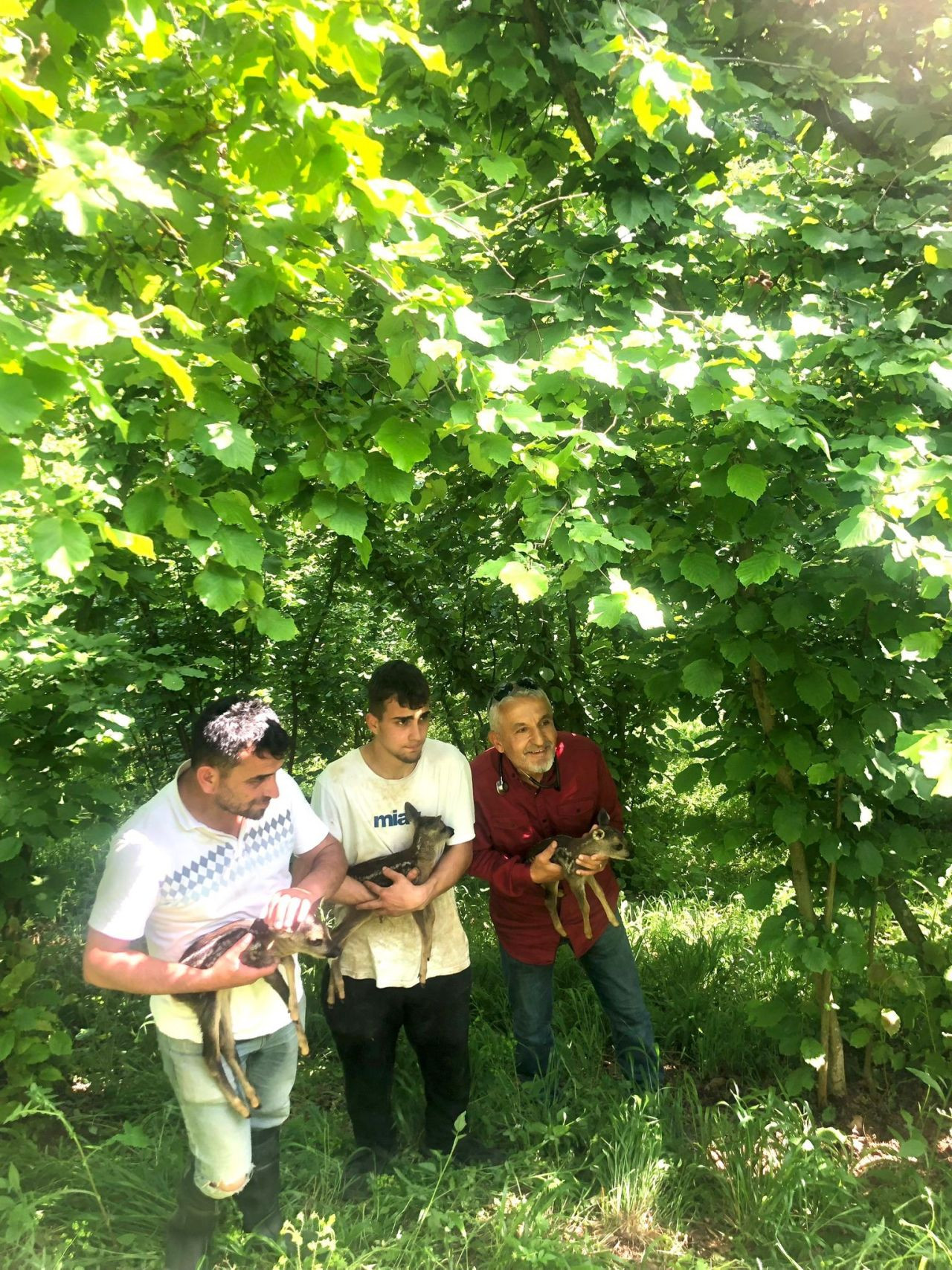 Tarlada Çalışırken Buldukları Yavru Karacalar İçin Seferber Oldular - Sayfa 5