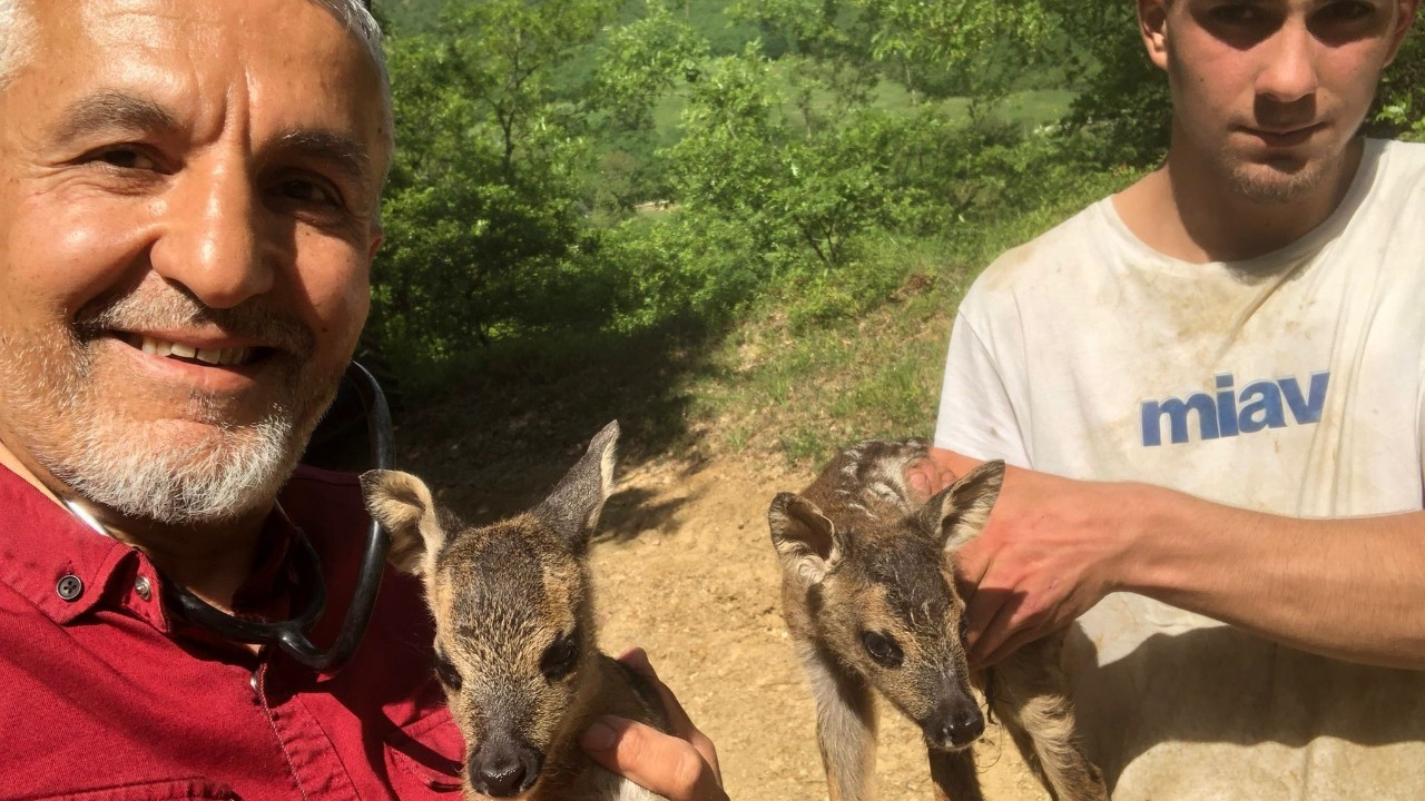 Tarlada Çalışırken Buldukları Yavru Karacalar İçin Seferber Oldular