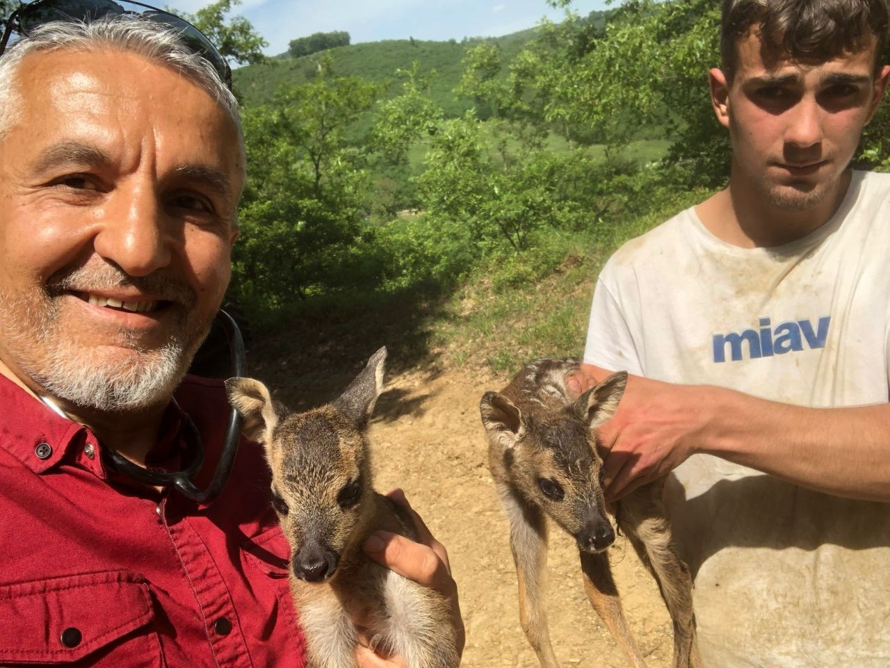 Tarlada Çalışırken Buldukları Yavru Karacalar İçin Seferber Oldular - Sayfa 2