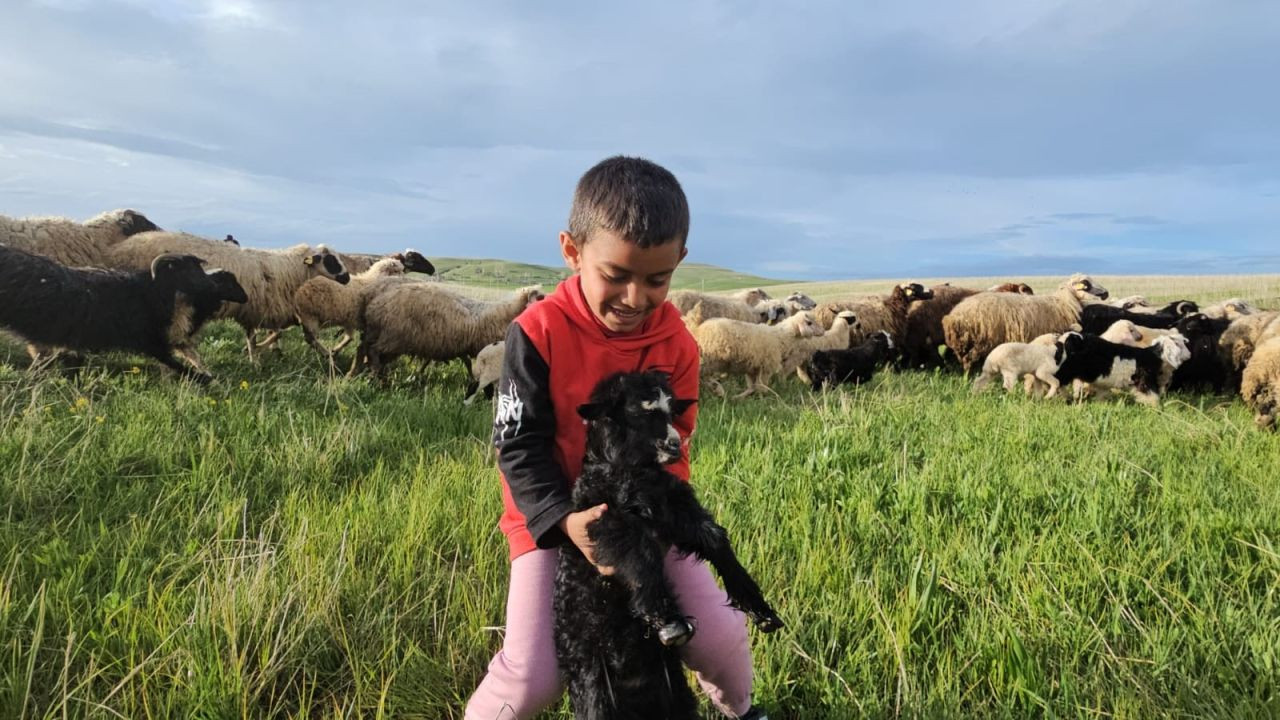 Adilcevaz'da Yayla Zamanı: Besiciler 7 Aylık Göçe Başladı - Sayfa 6