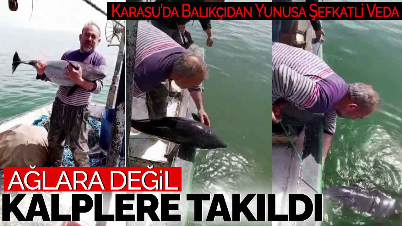 Ağlara Değil Kalplere Takıldı: Karasu’da Balıkçıdan Yunusa Şefkatli Veda