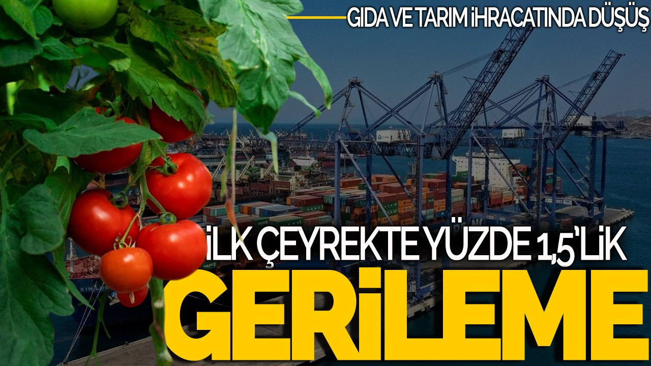 Gıda ve Tarım İhracatında Düşüş: İlk Çeyrekte %1,5’lik Gerileme