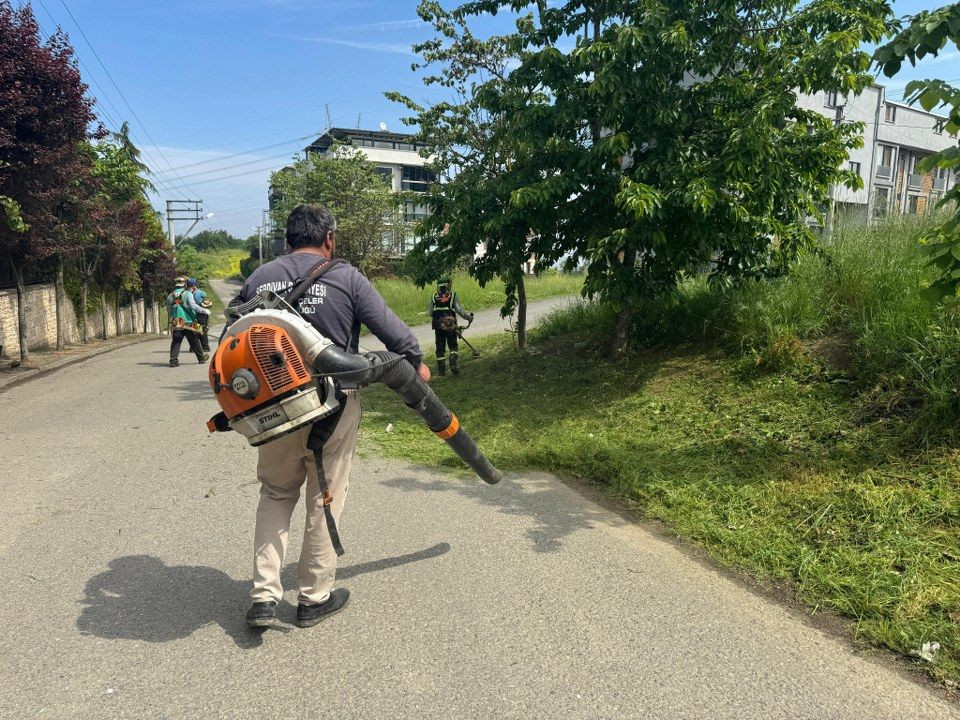 Yeşil Serdivan İçin Hızlı Müdahale: Yaz Hazırlıklarına Tam Gaz Devam - Sayfa 1