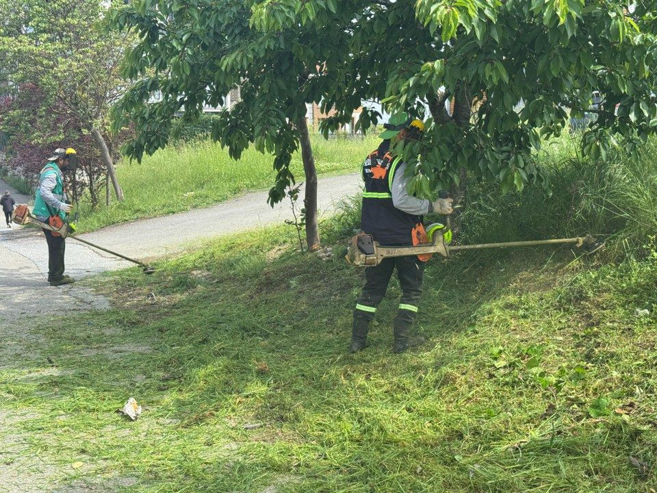 Yeşil Serdivan İçin Hızlı Müdahale: Yaz Hazırlıklarına Tam Gaz Devam - Sayfa 2