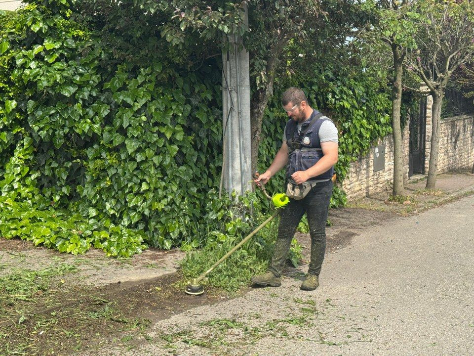 Yeşil Serdivan İçin Hızlı Müdahale: Yaz Hazırlıklarına Tam Gaz Devam - Sayfa 3