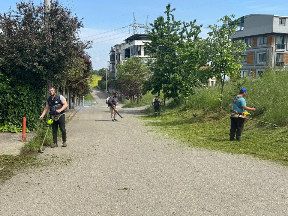 Yeşil Serdivan İçin Hızlı Müdahale: Yaz Hazırlıklarına Tam Gaz Devam - Sayfa 4