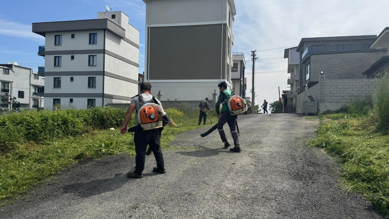 Yeşil Serdivan İçin Hızlı Müdahale: Yaz Hazırlıklarına Tam Gaz Devam