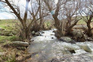 Ağrı'nın Saklı Güzelliği Bekiran Şelalesi Baharda Güzelliğiyle Mest Ediyor - Sayfa 4
