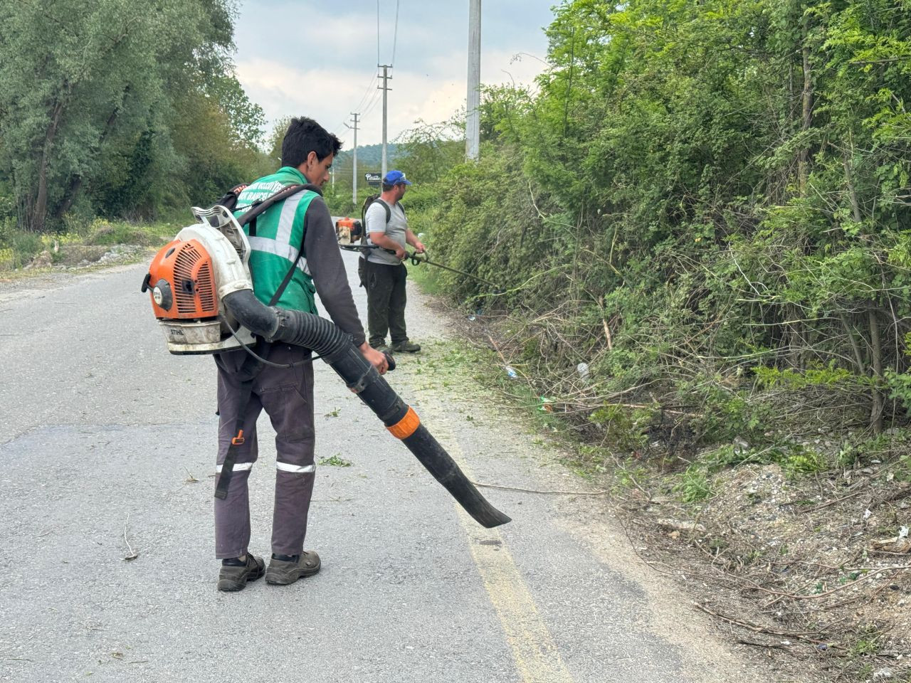 Serdivan’da Trafik Güvenliği İçin Budama Hamlesi - Sayfa 1