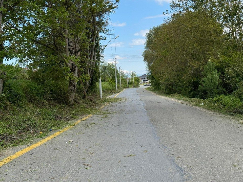 Serdivan’da Trafik Güvenliği İçin Budama Hamlesi - Sayfa 4