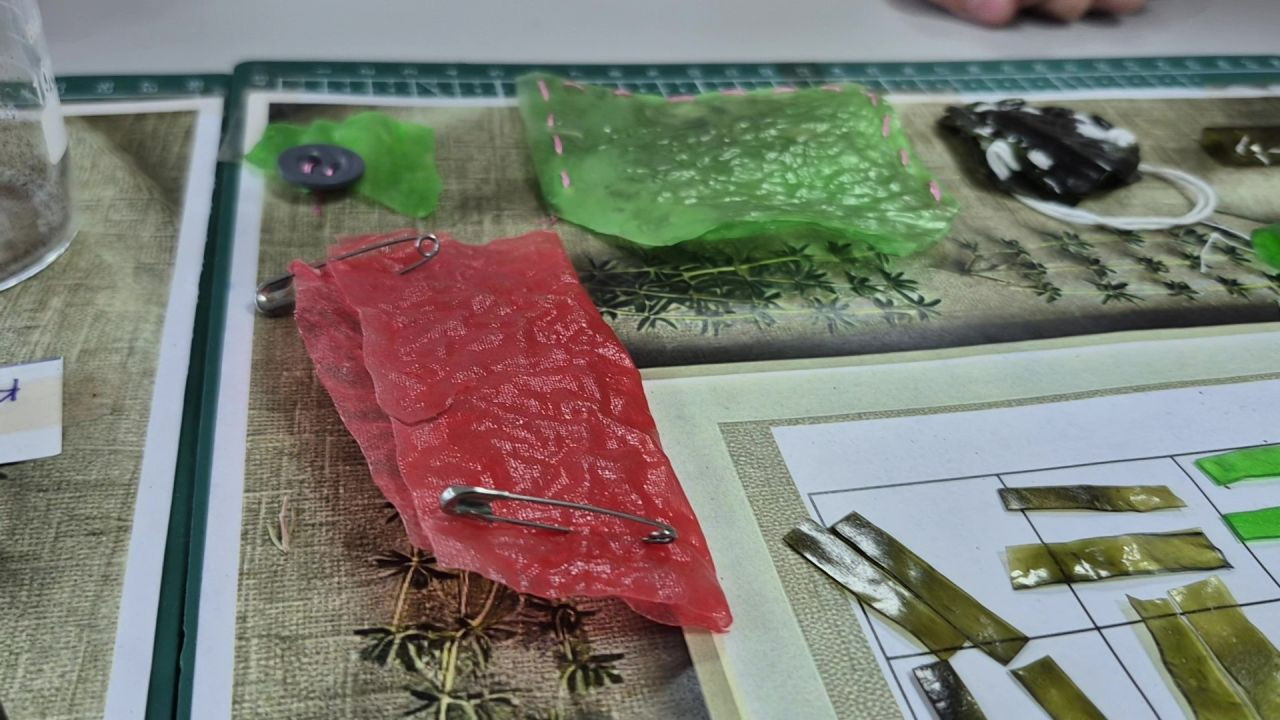 Düzce'de 10 Yaşındaki Ravza'dan Kekik Özlü Biyokumaş - Sayfa 1