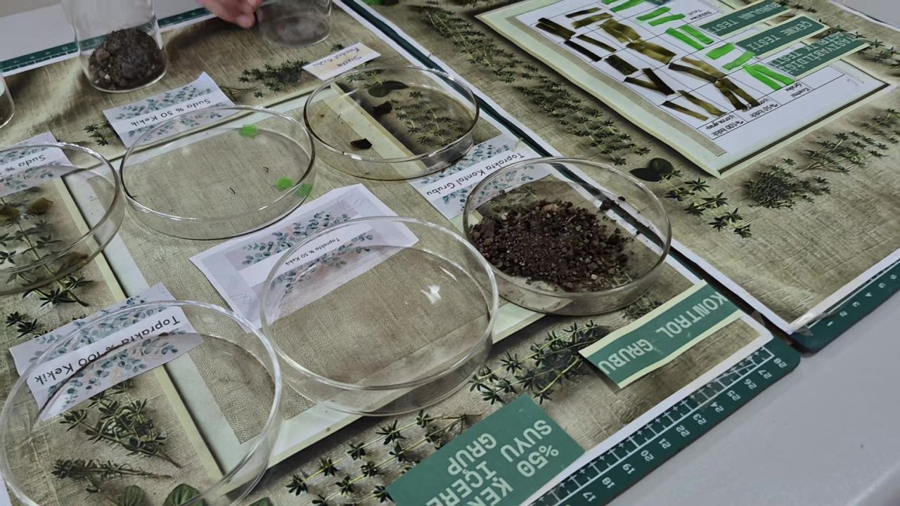 Düzce'de 10 Yaşındaki Ravza'dan Kekik Özlü Biyokumaş - Sayfa 4