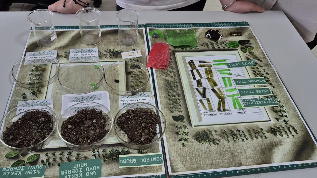 Düzce'de 10 Yaşındaki Ravza'dan Kekik Özlü Biyokumaş - Sayfa 5