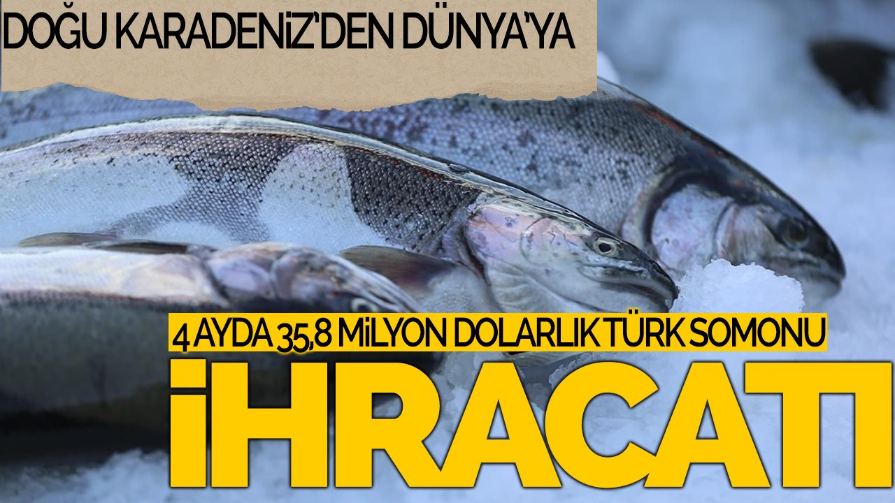 Doğu Karadeniz’den 4 Ayda 35,8 Milyon Dolarlık Türk Somonu İhracatı