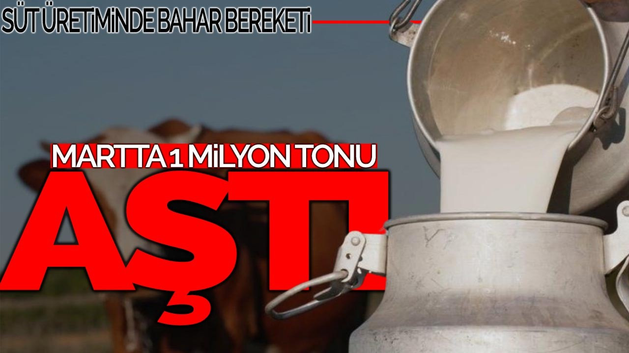 Süt Üretiminde Bahar Bereketi: Martta 1 Milyon Tonu Aştı