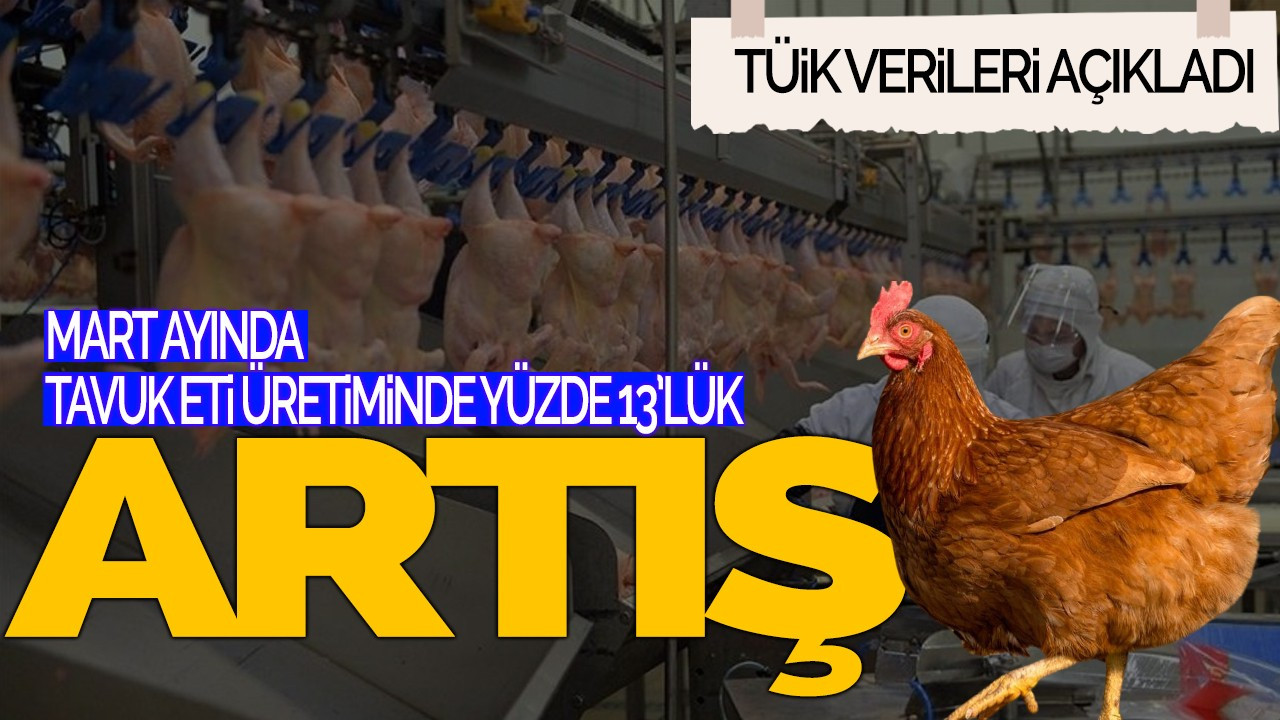 TÜİK Verileri Açıkladı: Mart Ayında Tavuk Eti Üretiminde Yüzde 13’lük Artış