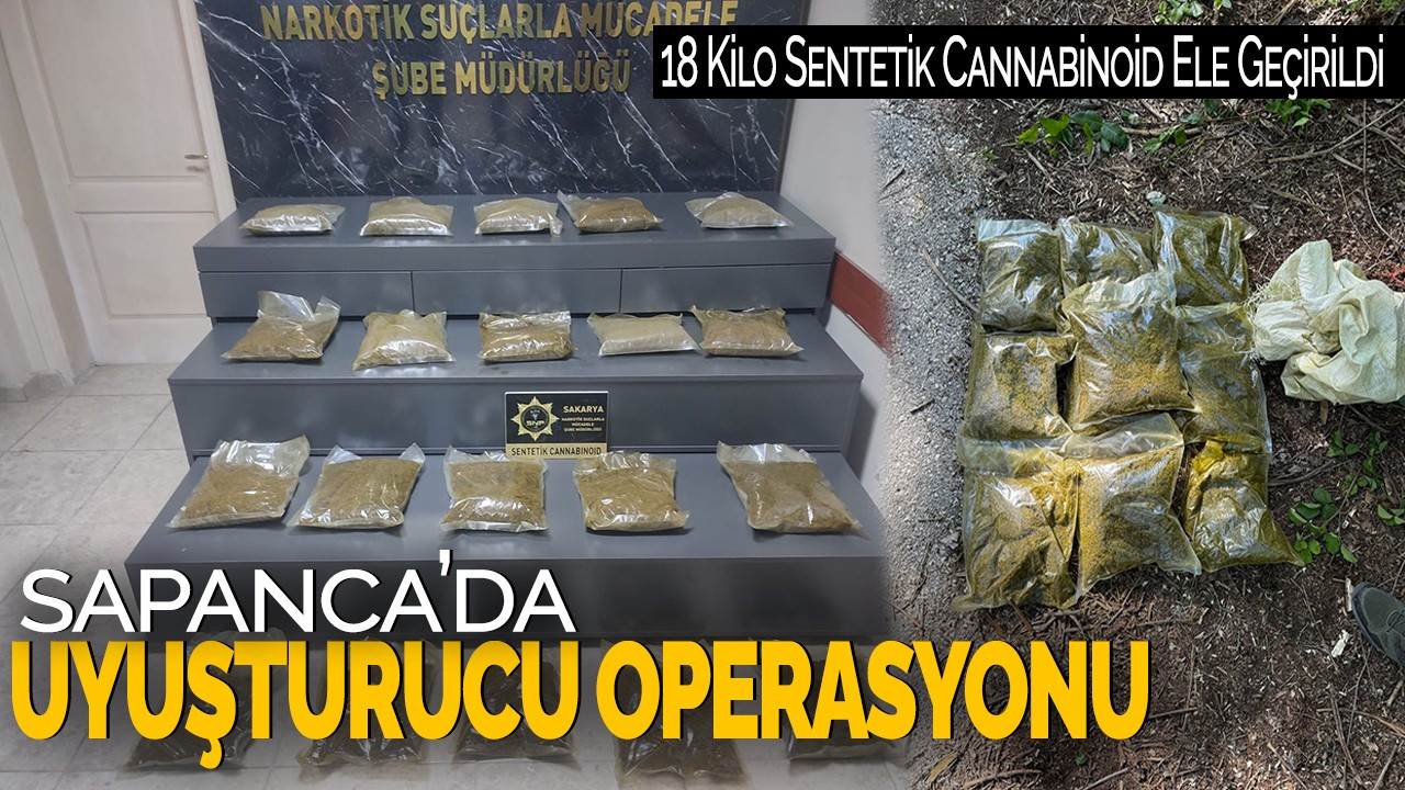 Sapanca’da Uyuşturucu Operasyonu: 18 Kilo Sentetik Cannabinoid Ele Geçirildi