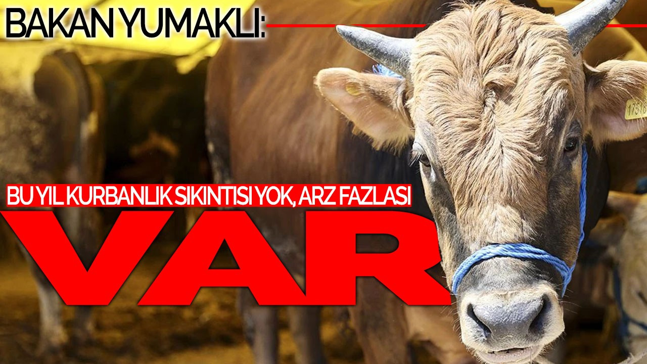 Bakan Yumaklı: “Bu Yıl Kurbanlık Sıkıntısı Yok, Arz Fazlası Var”