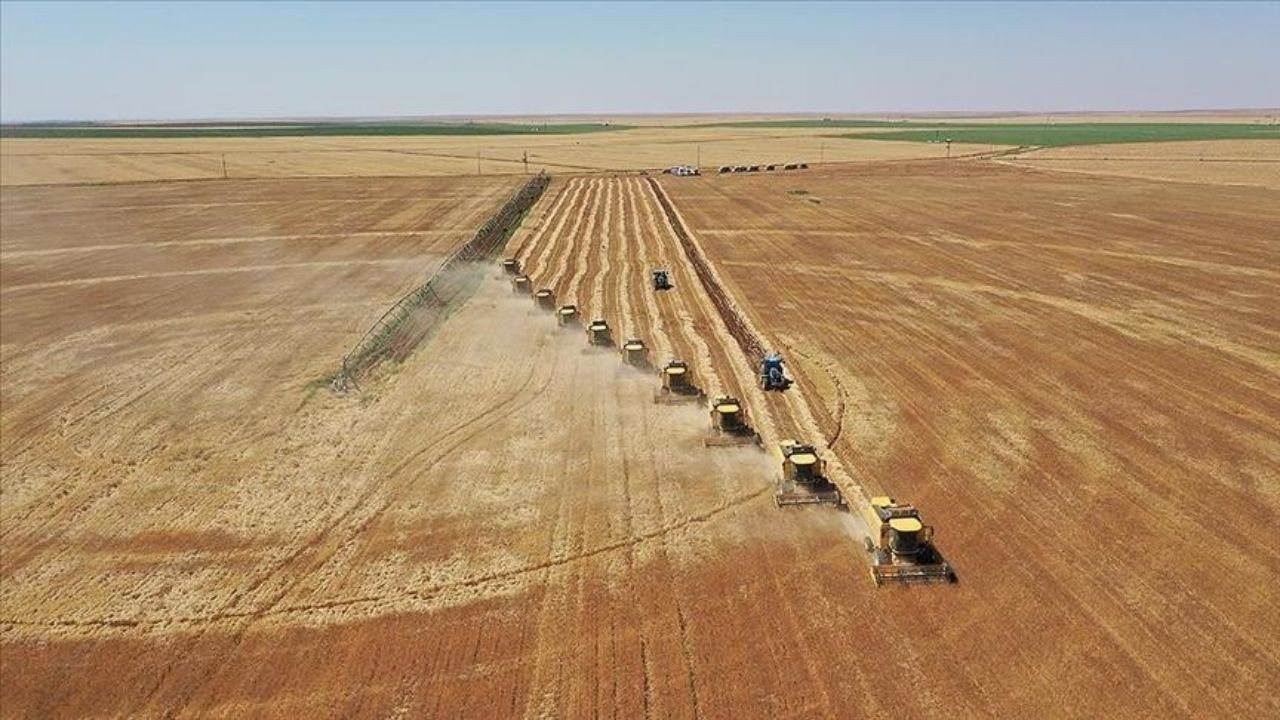 Tarım Bakanlığı’ndan Çiftçilere 5,1 Milyar Liralık Destekleme Ödemesi - Sayfa 1