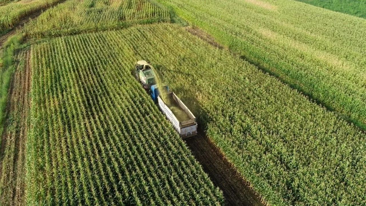 Tarım Bakanlığı’ndan Çiftçilere 5,1 Milyar Liralık Destekleme Ödemesi