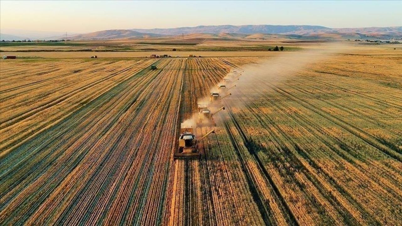 Tarım Bakanlığı’ndan Çiftçilere 5,1 Milyar Liralık Destekleme Ödemesi - Sayfa 3