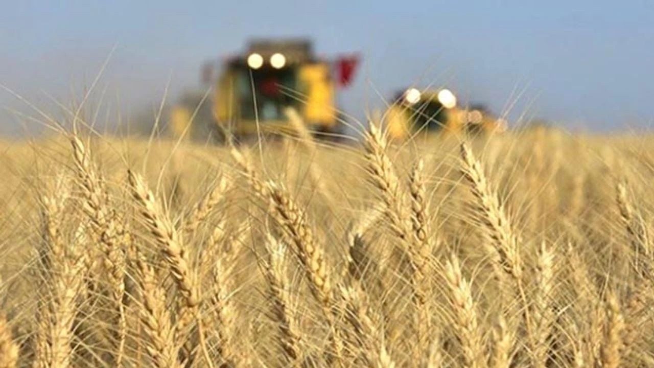 Tarım Bakanlığı’ndan Çiftçilere 5,1 Milyar Liralık Destekleme Ödemesi - Sayfa 4