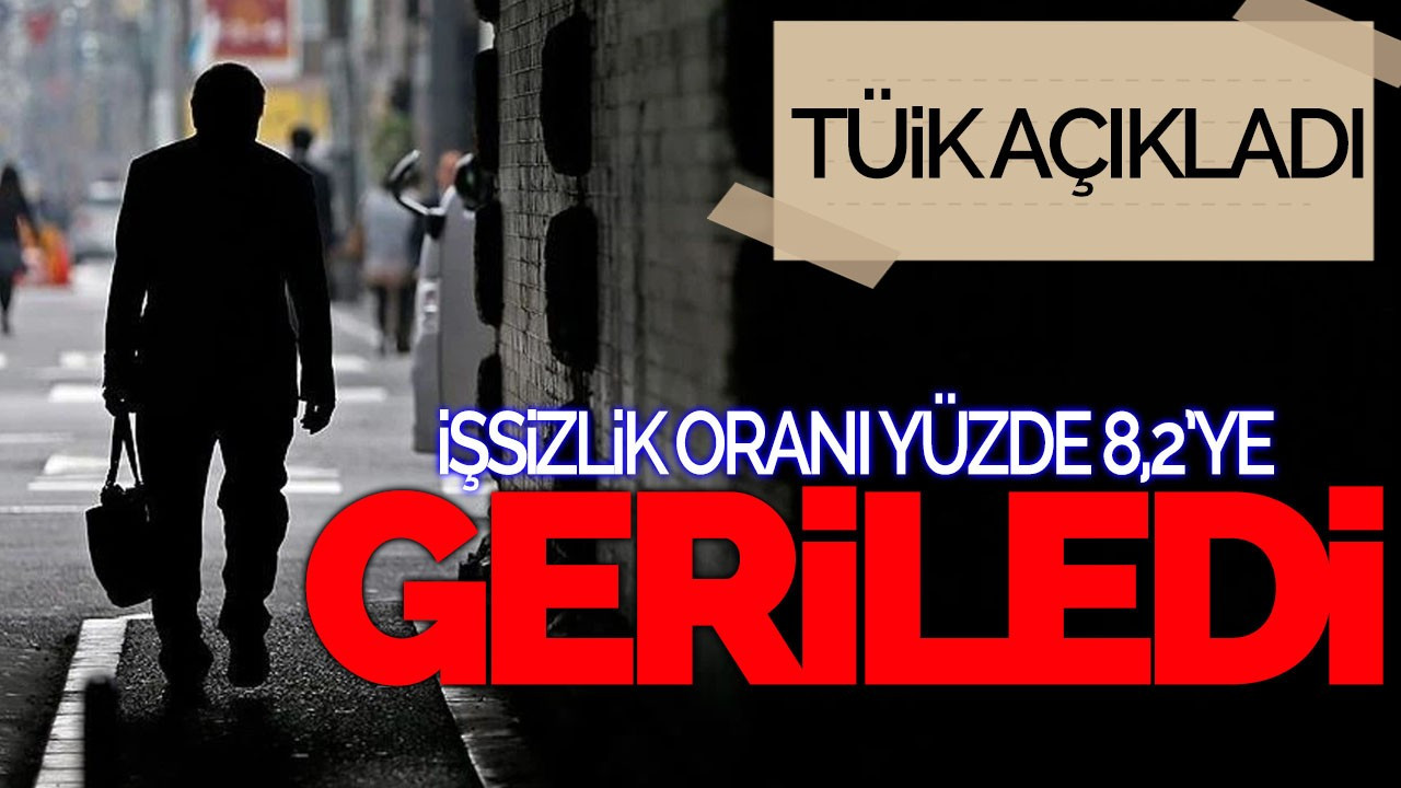 TÜİK Açıkladı: İşsizlik Oranı Yüzde 8,2’ye Geriledi