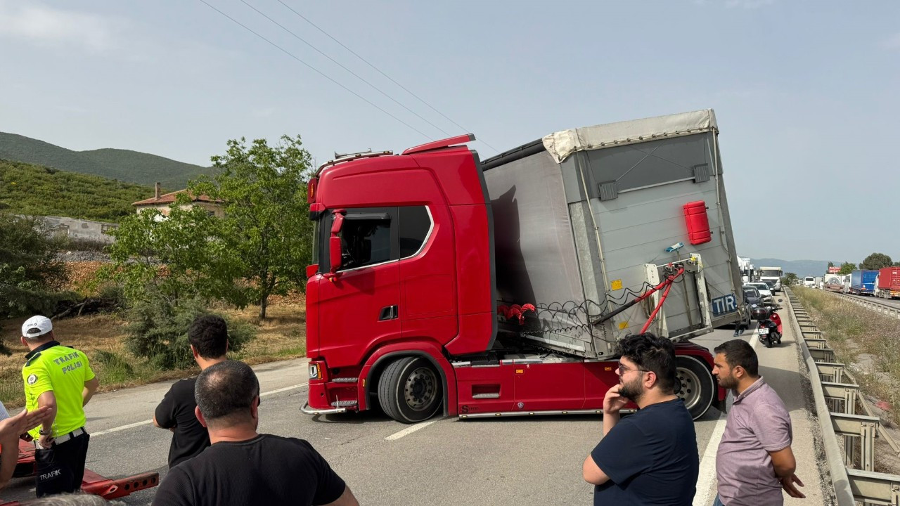 Bir Arının Yaptığına Bak...Yüzlerce Kişiyi Mağdur Etti