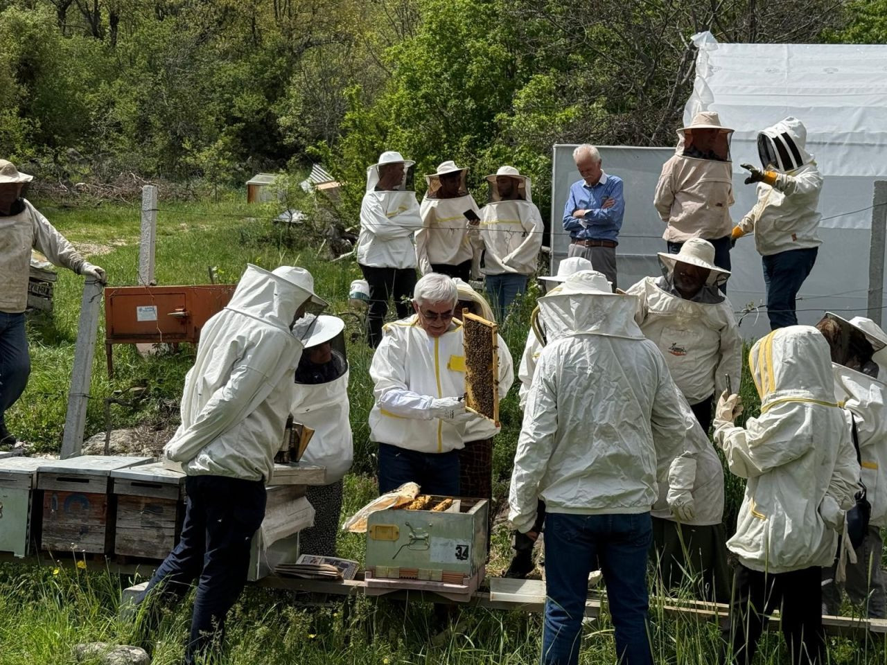 Bolu’nun Dört Bir Yanından Arı Kursuna Yoğun İlgi - Sayfa 1