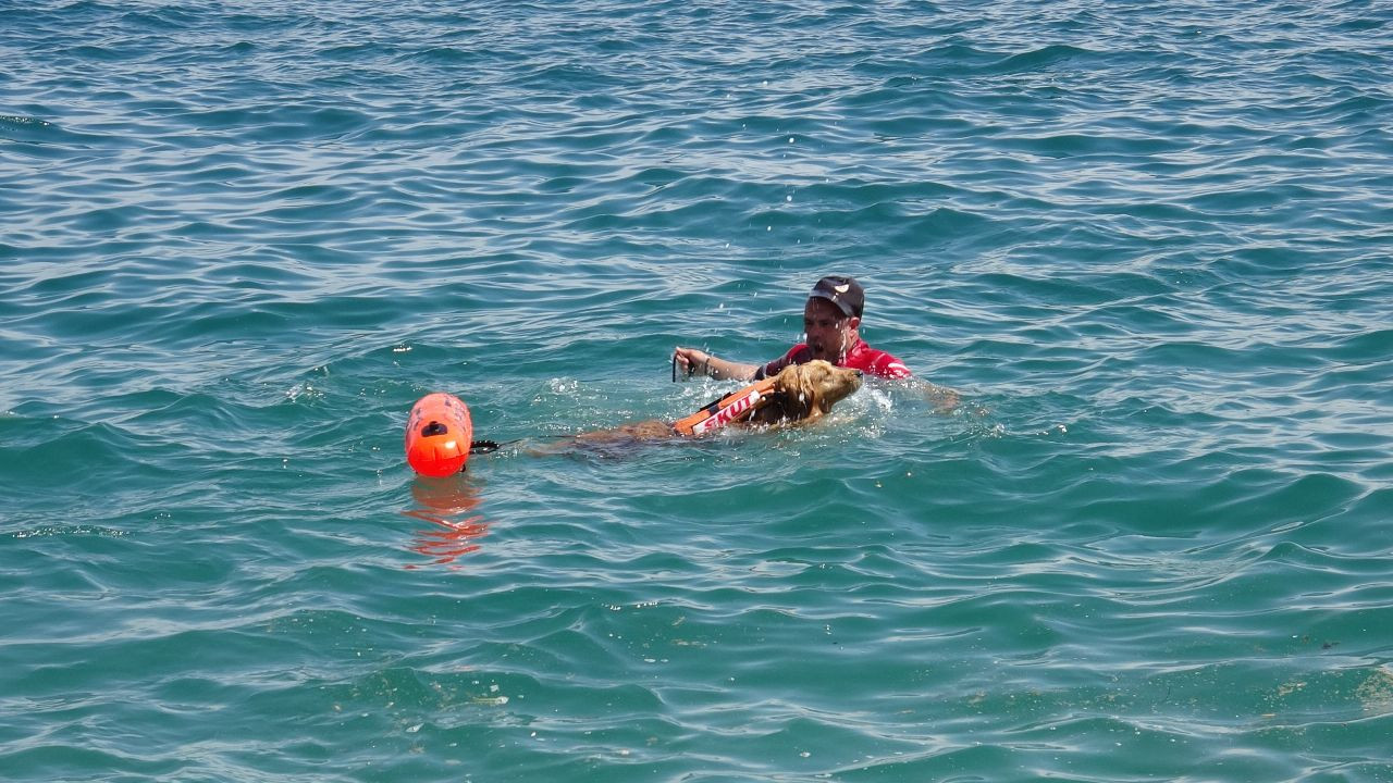 Türkiye'nin İlk Sivil Sualtı Kurtarma Köpeği Zeyna, Görev İçin Gün Sayıyor - Sayfa 4