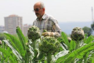 Şubatta Sıraya Girenler 'Göbeği'ni Alabildi - Sayfa 2