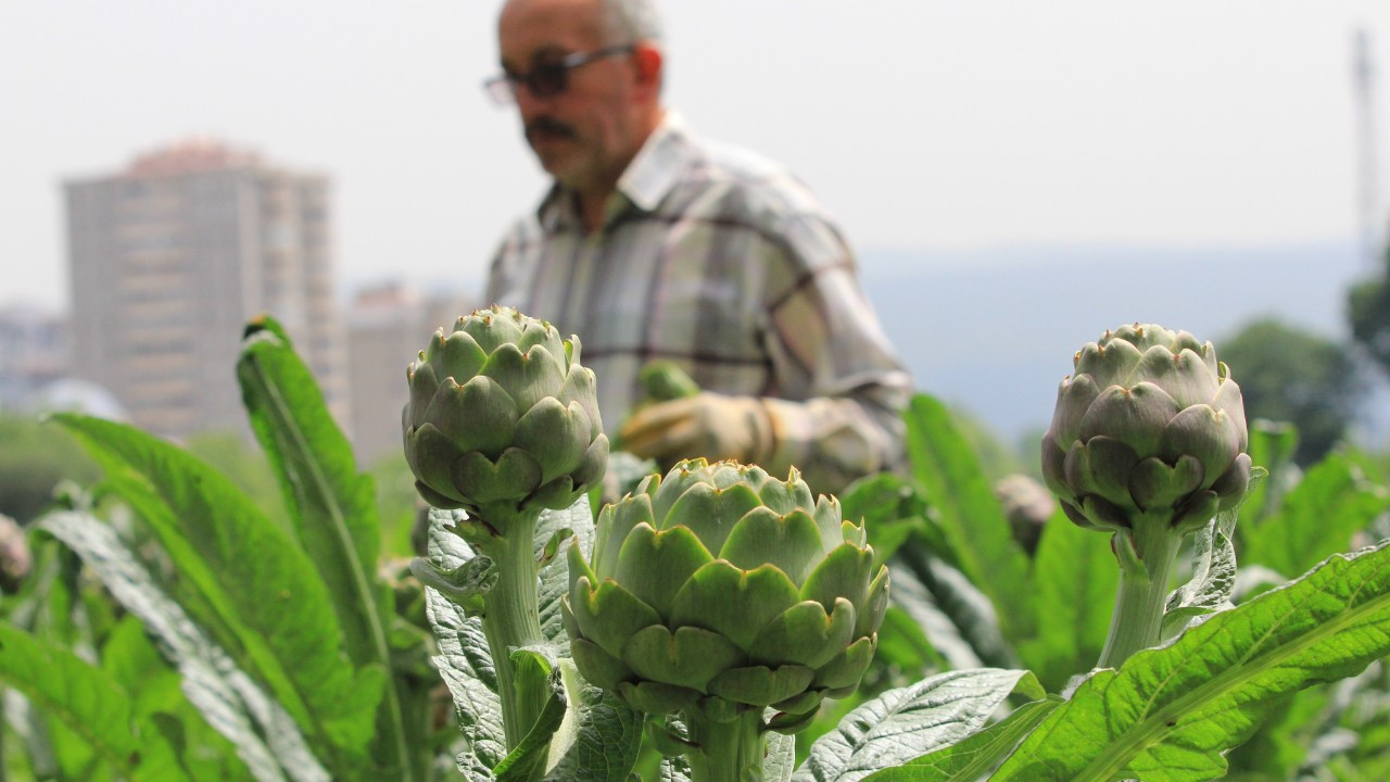 Şubatta Sıraya Girenler 'Göbeği'ni Alabildi