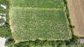 Şubatta Sıraya Girenler 'Göbeği'ni Alabildi - Sayfa 8