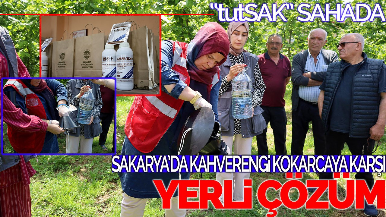 Sakarya’da Kahverengi Kokarcaya Karşı Yerli Çözüm:  “tutSAK” Sahada