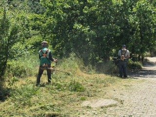 Serdivan Belediyesi’nden Çevre Düzenlemesine Yönelik Titiz Çalışma - Sayfa 4
