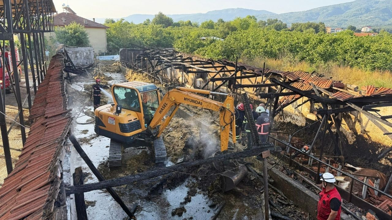 Bayrama iki gün kala yürek yakan yangın - Sayfa 4