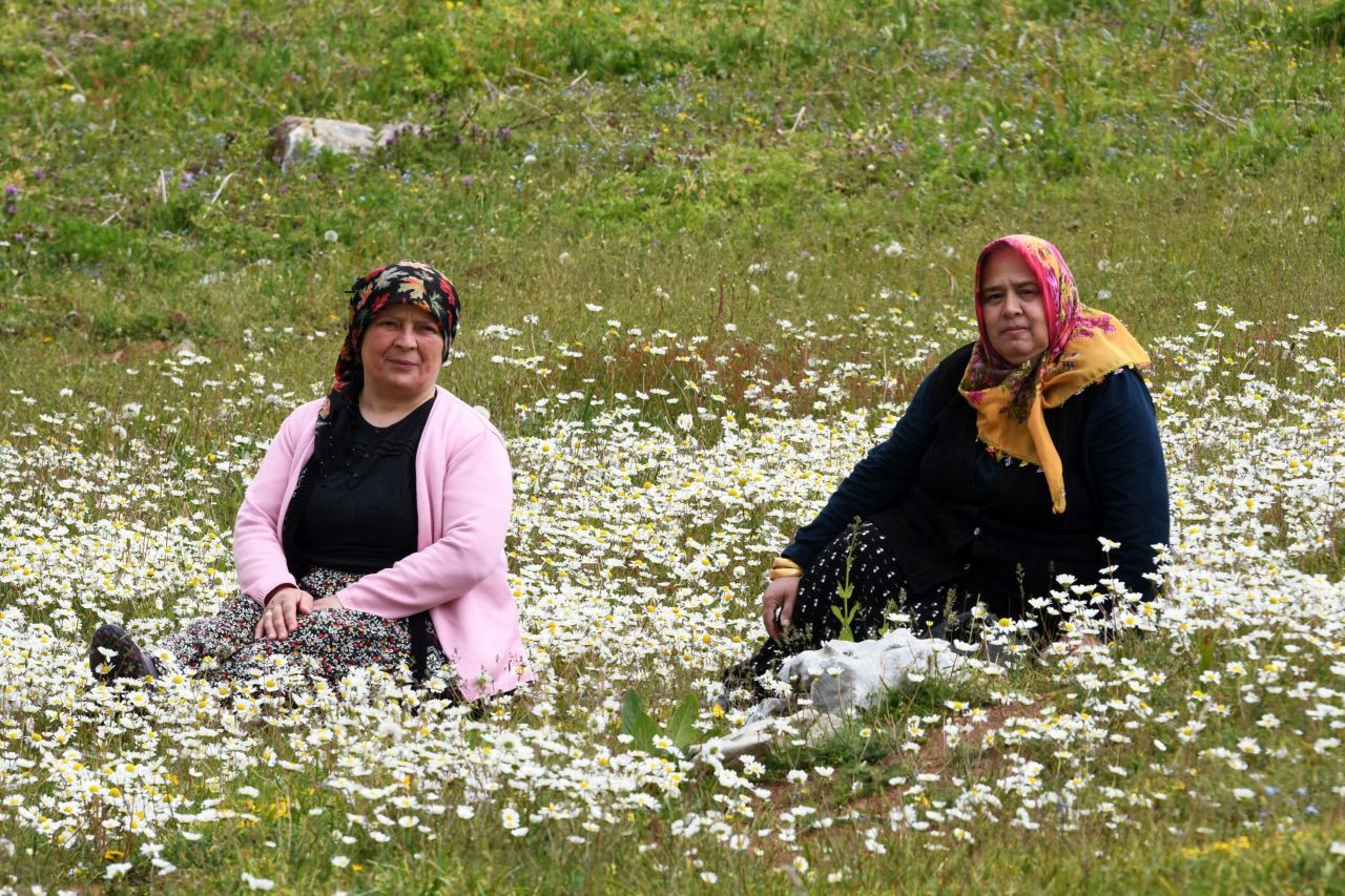 Soğuk hava etkili oldu, yaylada çiçekler geç açtı - Sayfa 3