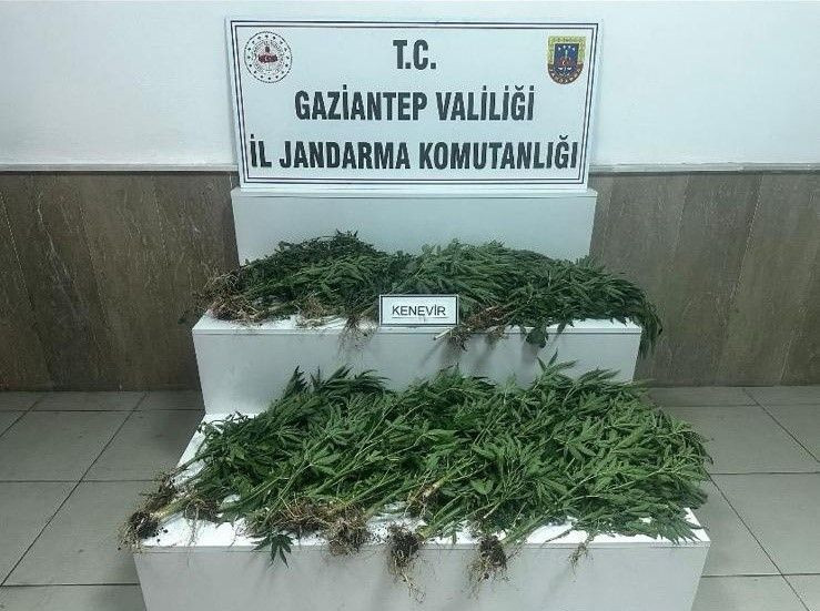 Gaziantep'te kaçakçılık ve uyuşturucu operasyonları: 12 tutuklama - Sayfa 6