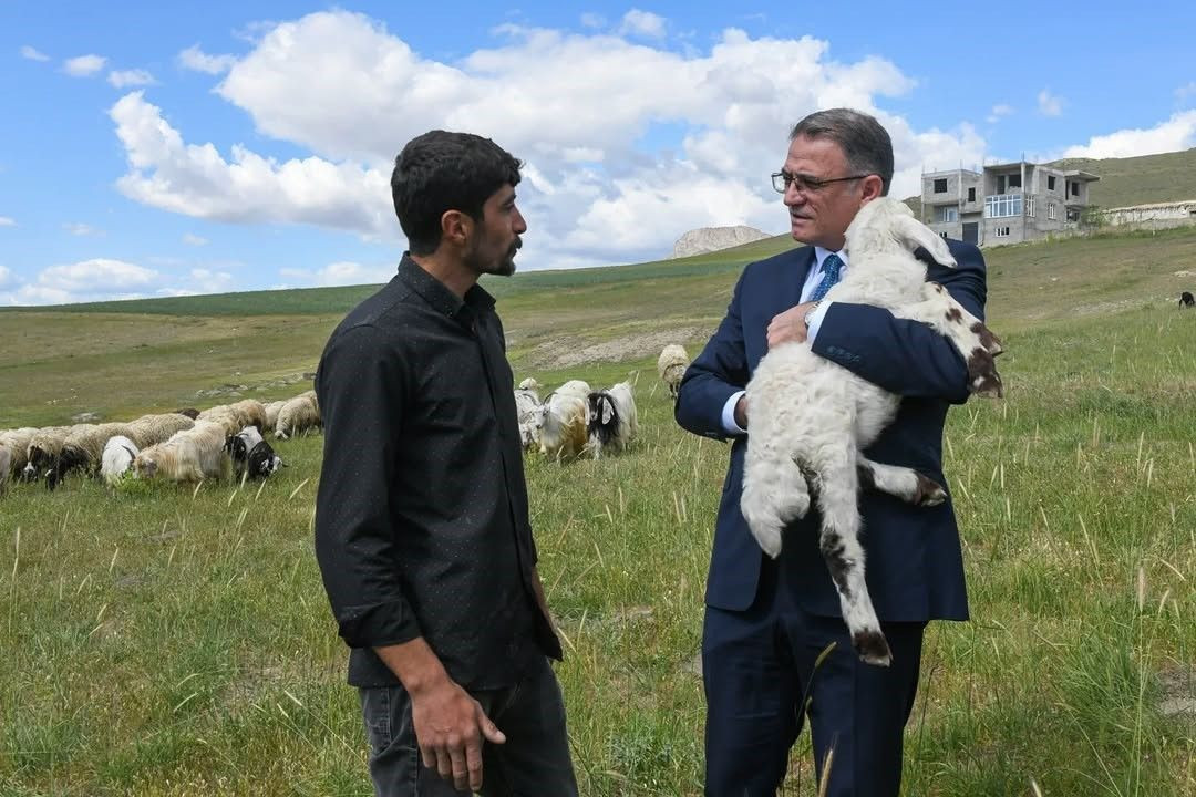 Van'da 3 yılda 2 bin 375 çiftçiye 235 bin koyun desteği verildi - Sayfa 5