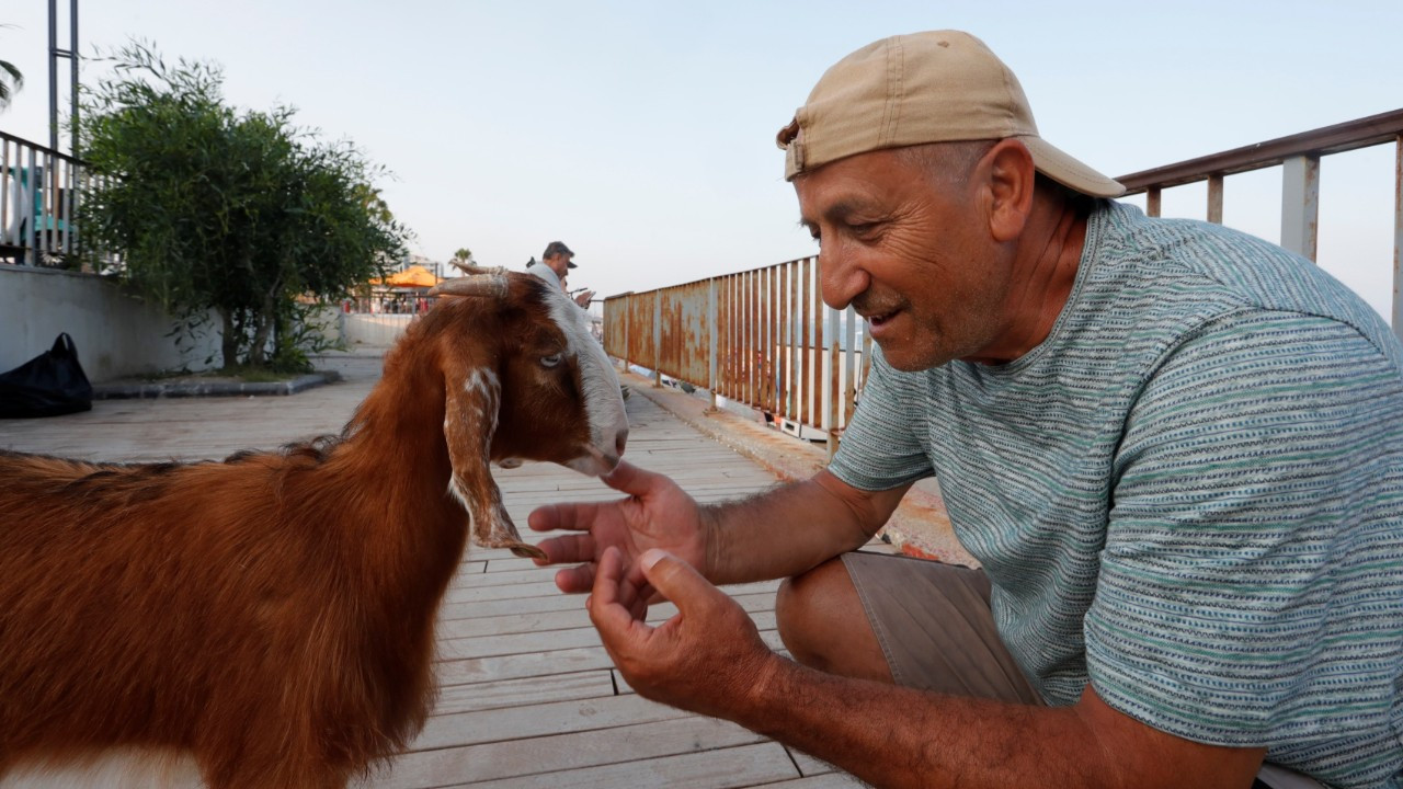 Antalya’da Oğlak Karamel, Sahilde İlgi Odağı Oldu
