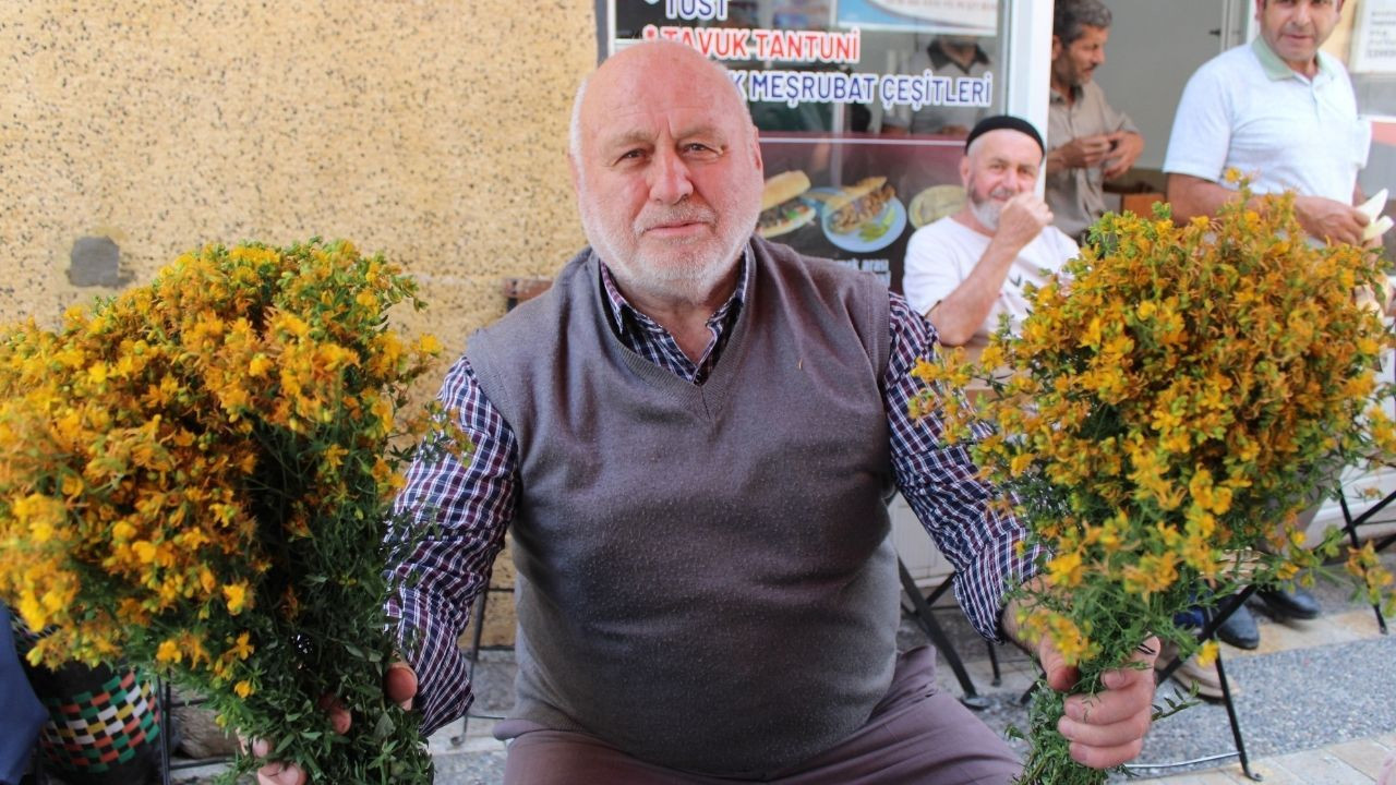 Bu çiçek hediye için değil sağlık için alınıyor - Sayfa 1