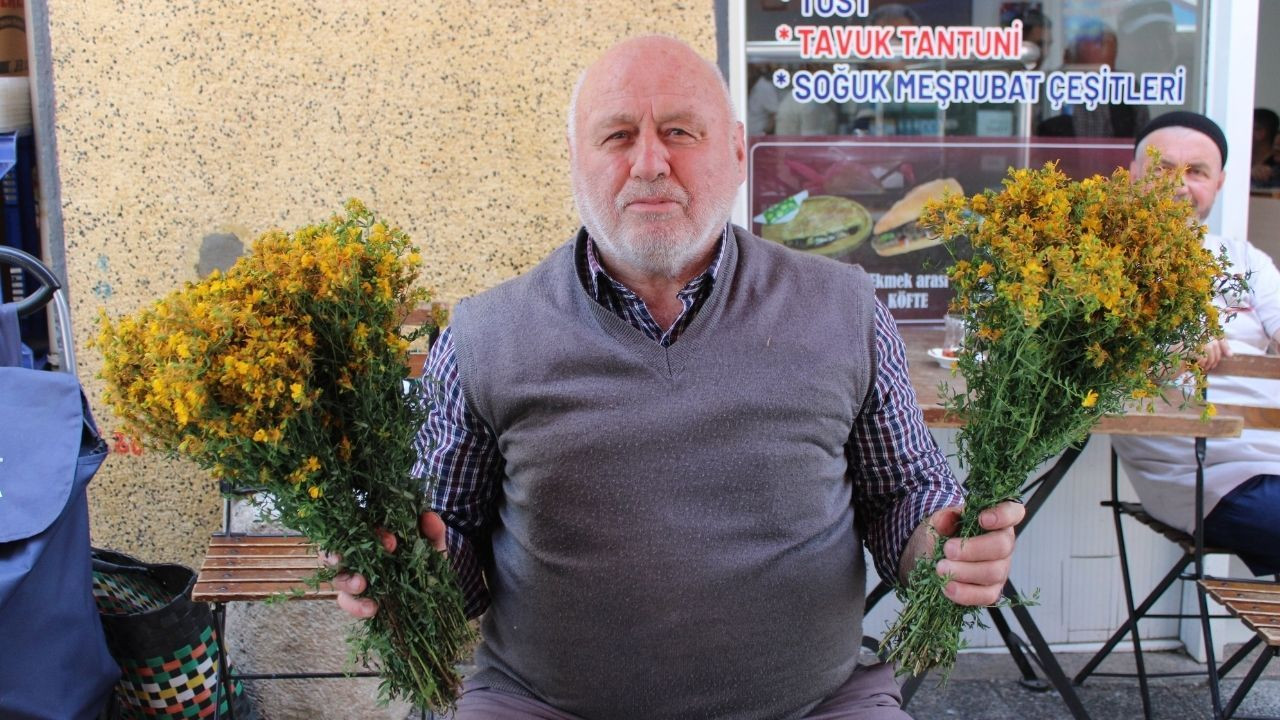 Bu çiçek hediye için değil sağlık için alınıyor - Sayfa 4
