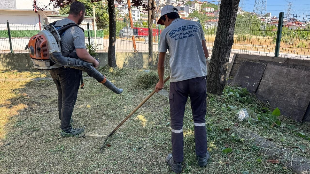Serdivan Belediyesi’nden Yeşil Alanlara Bakım - Sayfa 2