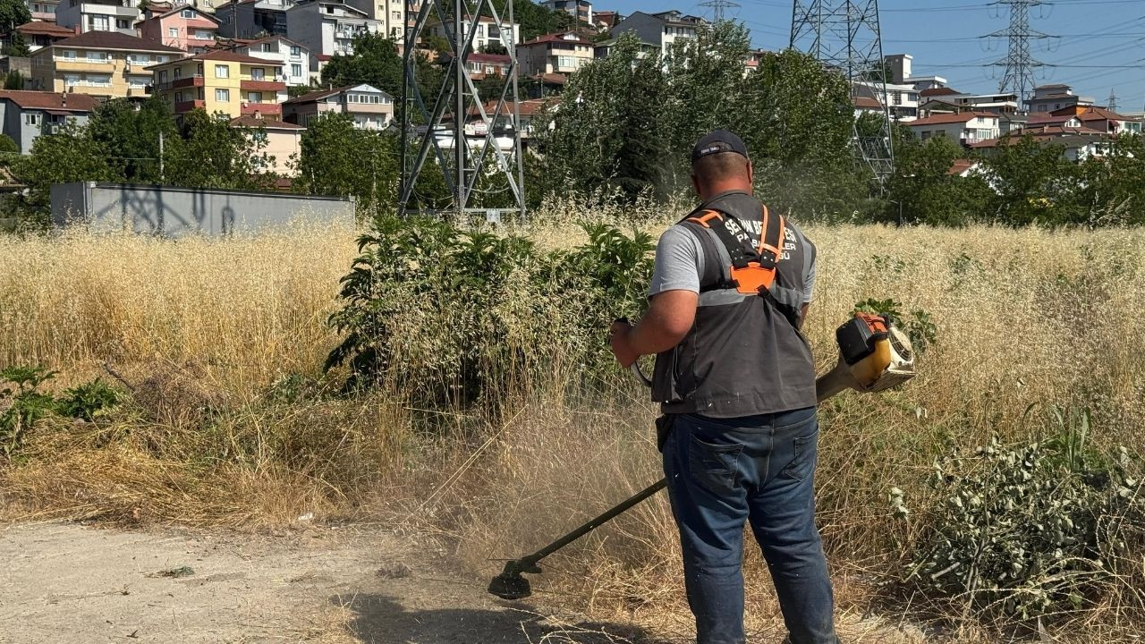 Serdivan Belediyesi’nden Yeşil Alanlara Bakım - Sayfa 4