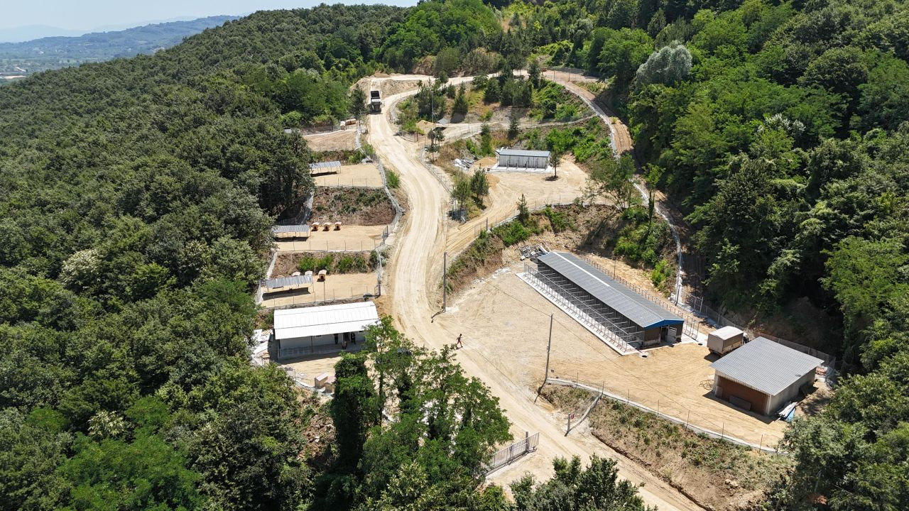 Arifiye Belediyesi Sokak Hayvanları Barınağı Hizmete Girdi - Sayfa 1