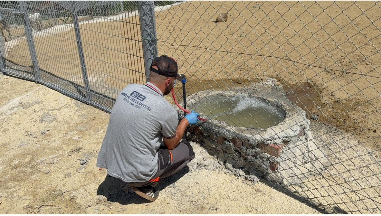 Arifiye Belediyesi Sokak Hayvanları Barınağı Hizmete Girdi - Sayfa 4