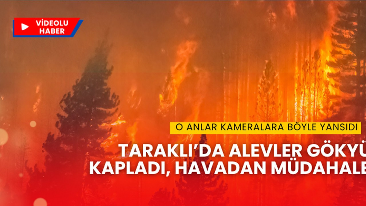 Sakarya’da Orman Yangını: Alevler Gökyüzünü Kapladı, Havadan Müdahale Başladı