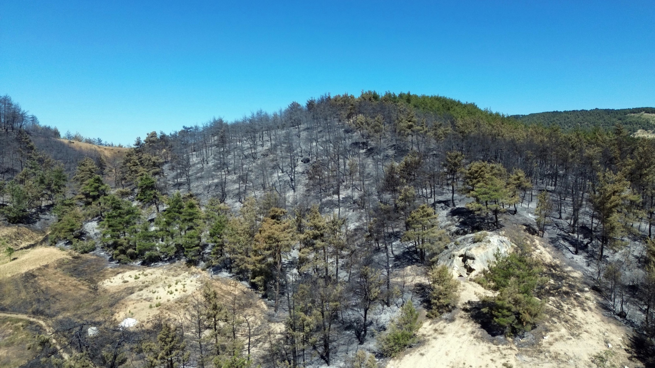 Sakarya'daki orman yangınına müdahale devam ediyor - Sayfa 6