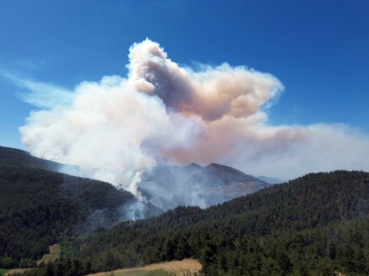 Sakarya'daki orman yangınına müdahale devam ediyor - Sayfa 5